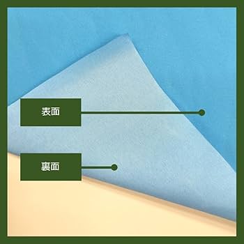 Amazon.co.jp: のぼり屋工房(Noboriyakobo) 吊下旗 2281